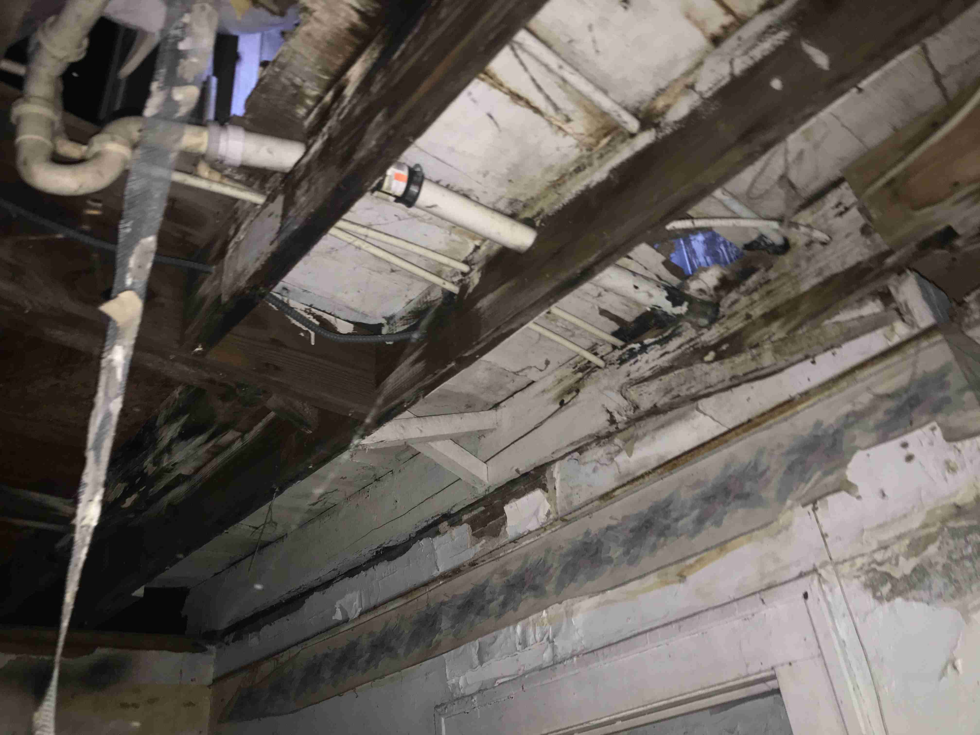 Photo Aug 21, 1 51 44 PM.jpg